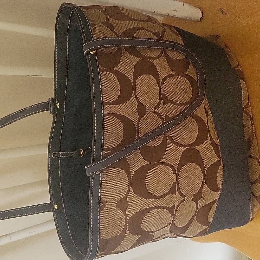 Hobo coach bag